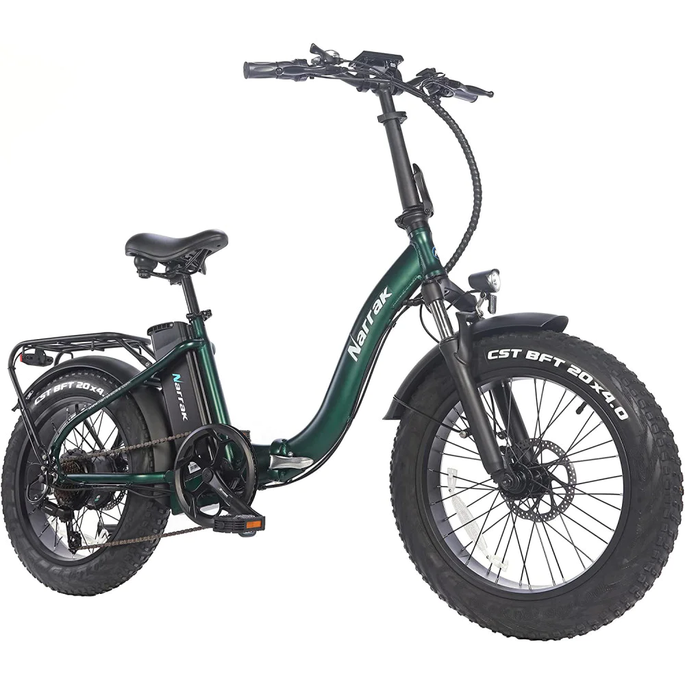 Green fat deals tire bike